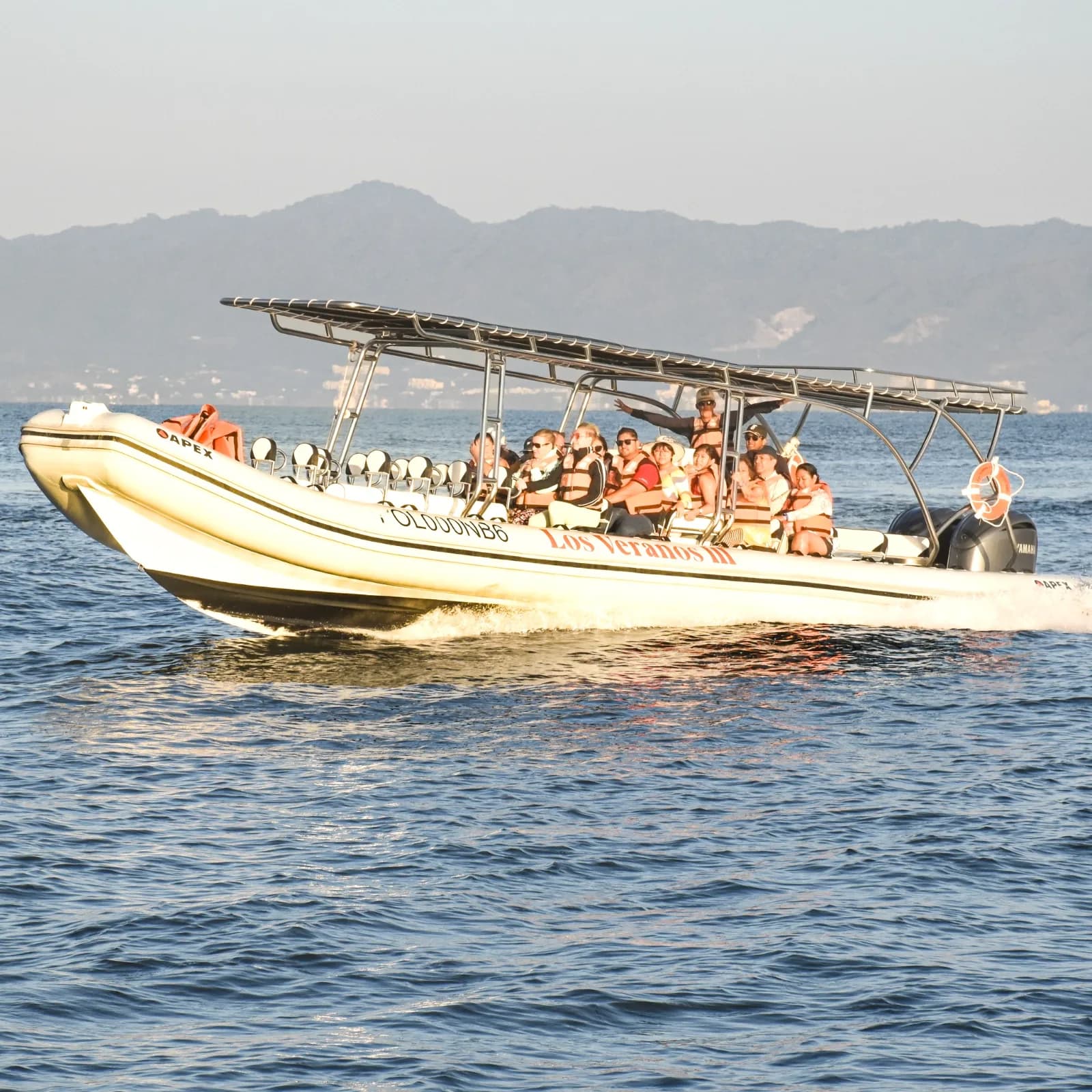 Avistamiento Ballenas en Lancha Rapida foto 1