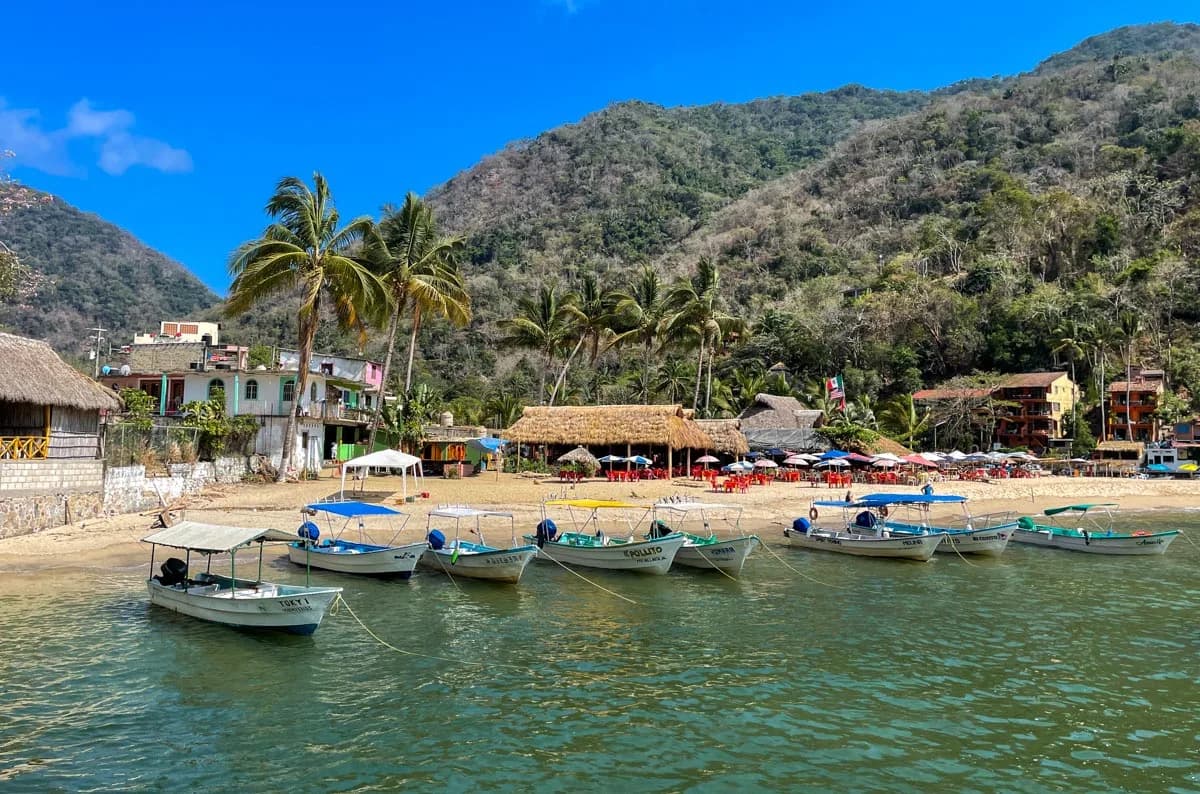 Playa Yelapa & Snorkel foto 4